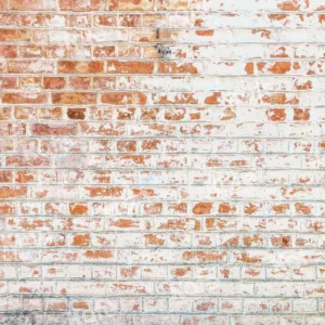 Red Brick and white brick wall