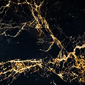 black and gold marble